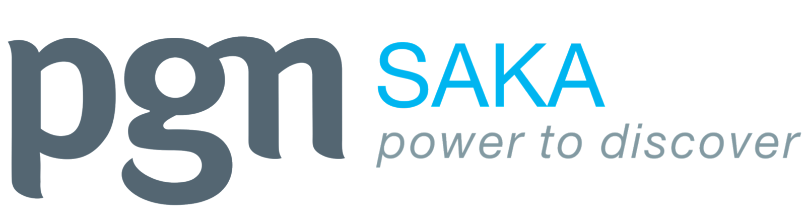 PGN Saka